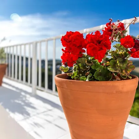 Country house Casa Boutique Encalada Vejer de la Frontera