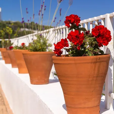 Casa Boutique Encalada Country house Vejer de la Frontera